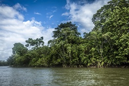 Colombia Creates New Marine and Coastal Area Benefitting Wildlife and Coastal Communities